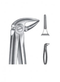 Extracting Forceps